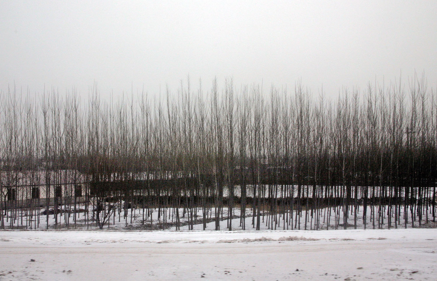 Asiapix Studios examples of work